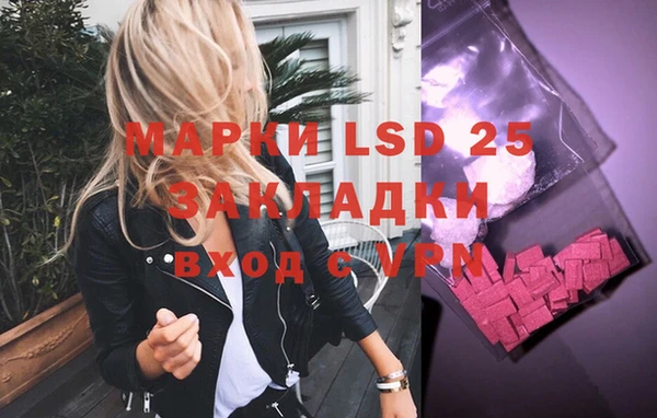 гидра Аркадак