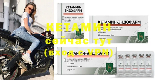 гидра Аркадак