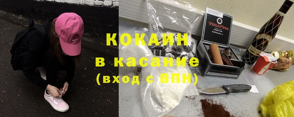 гидра Аркадак